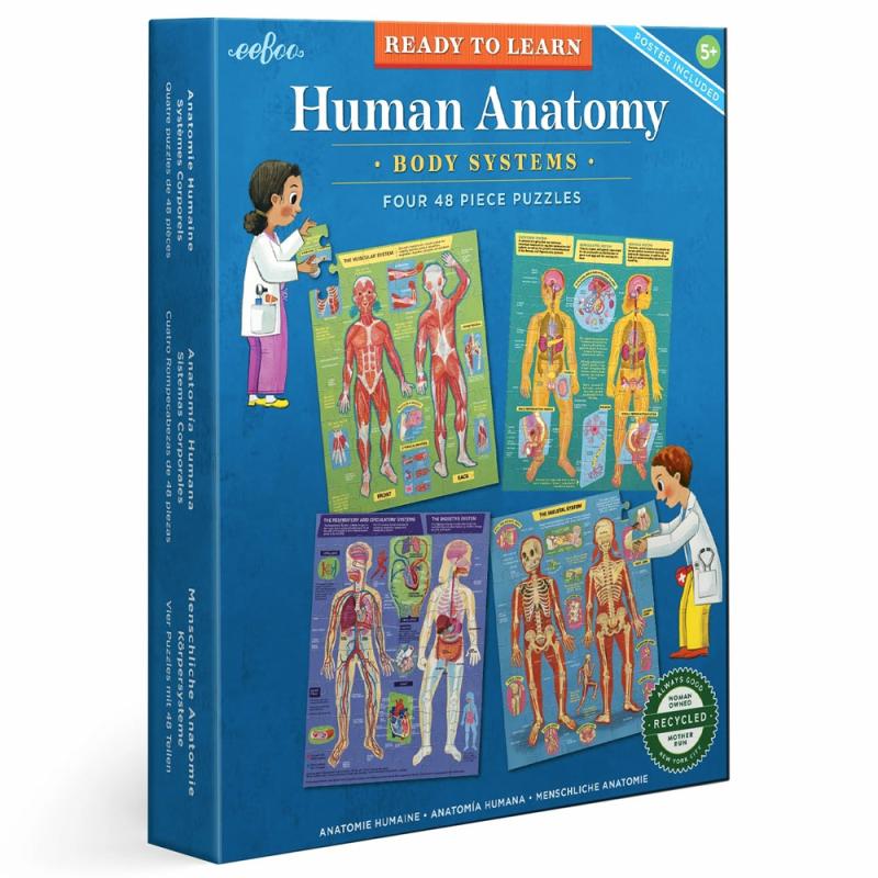 48 Pc Human Anatomy Puzzles  |  30 To 60 Pc Puzzles 30 To 60 Pc Puzzles 30 To 60 Pc Puzzles