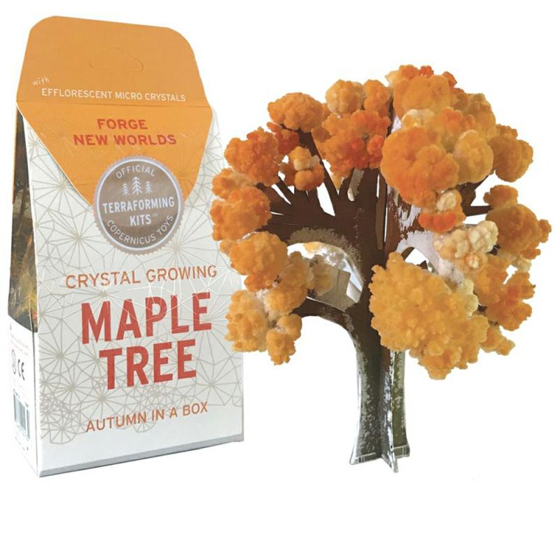 Crystal Growing Maple Tree  |  Experiment Kits Experiment Kits Experiment Kits