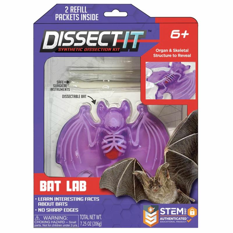 Dissect-It Bat Lab  |  Nature Science Nature Science Nature Science