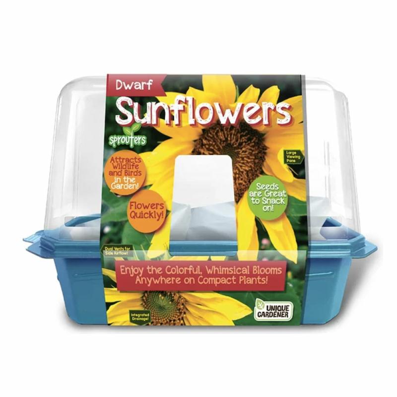 Dwarf Sunflower Sprouters Kit  |  Nature Science Nature Science Nature Science