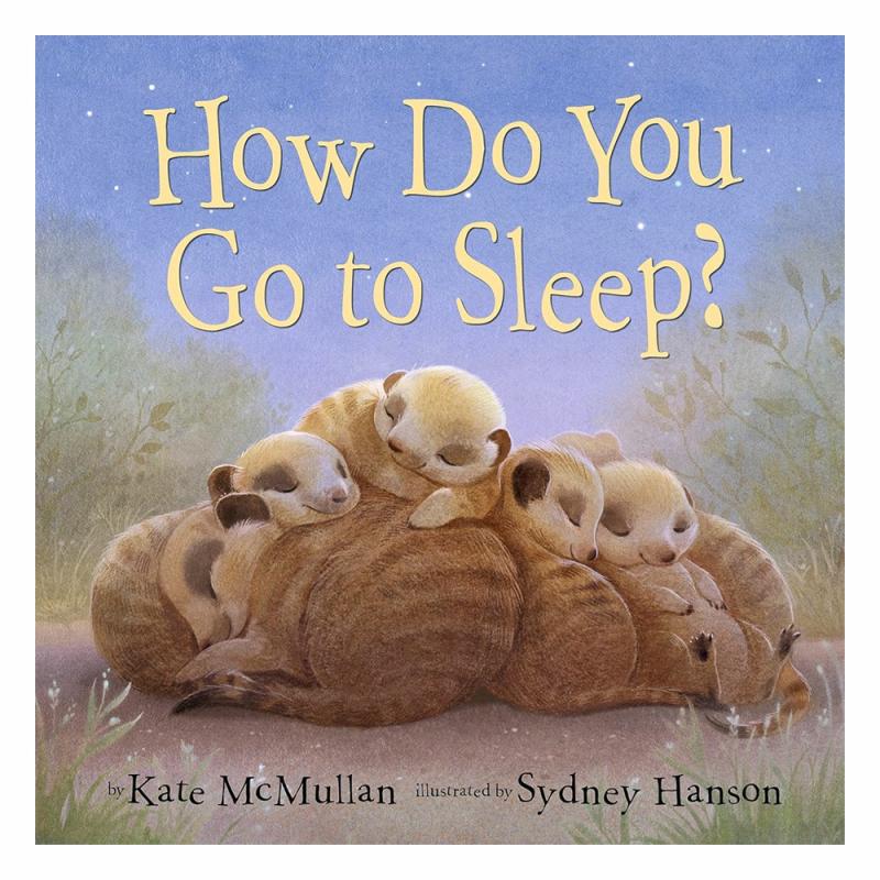 How Do You Go To Sleep?  |  Board Books Board Books Board Books