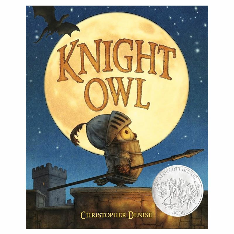 Knight Owl  |  Picture Books Books Picture Books