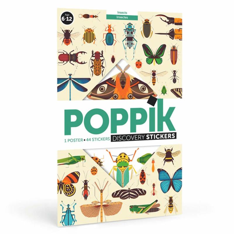 Poppik Insects Discovery Poster  |  Skill Building School Skill Building