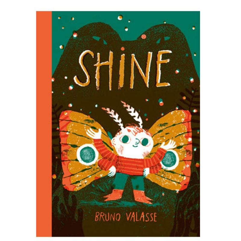 Shine  |  Picture Books Books Picture Books